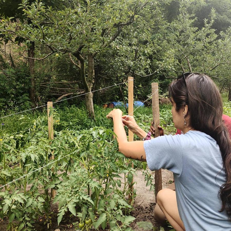 The Royal Orchard Kasol Hotel Ngoại thất bức ảnh